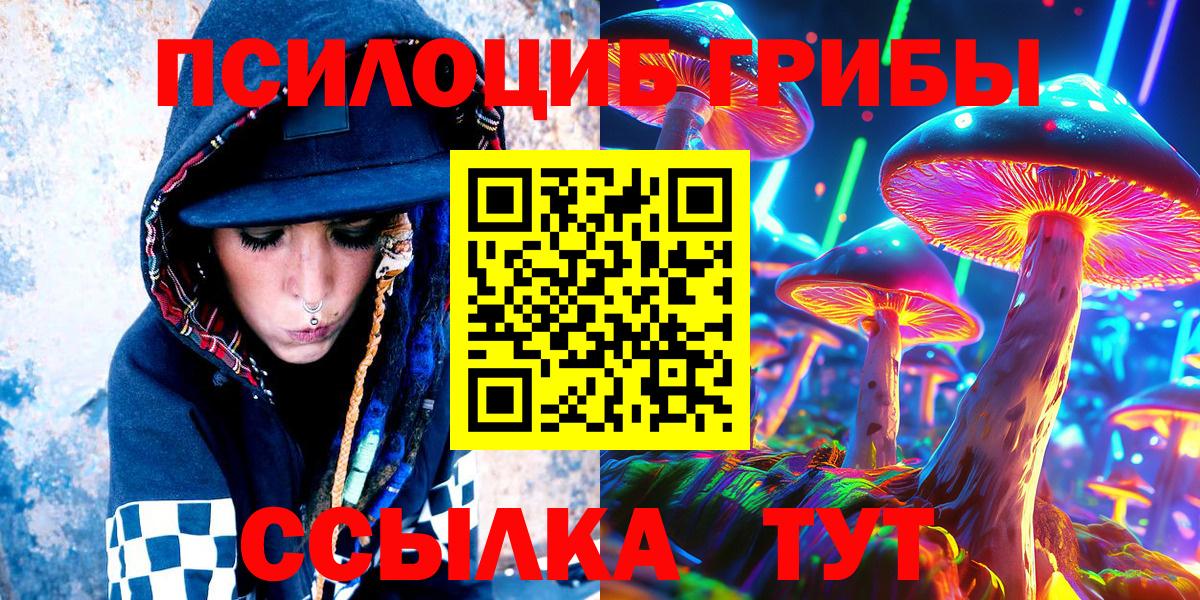 Псилоцибиновые грибы Psilocybe Карталы